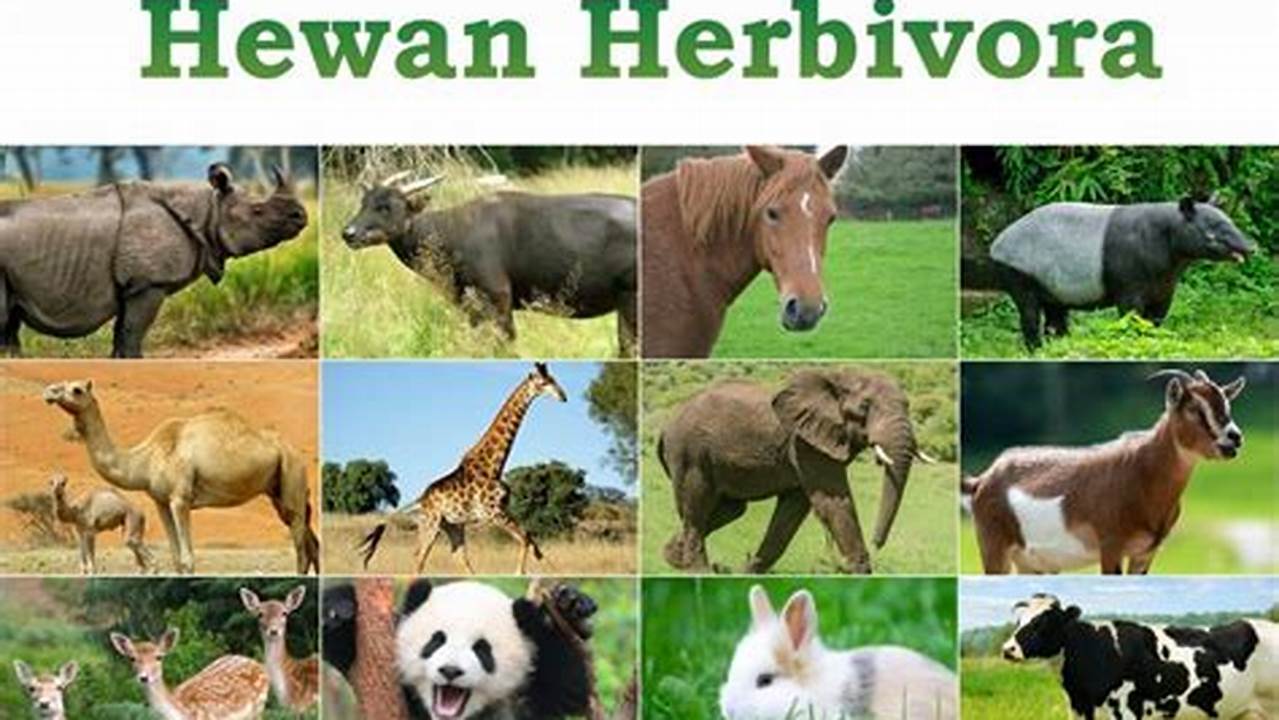 Panduan Lengkap tentang Herbivora: Hewan Pemakan Tumbuhan