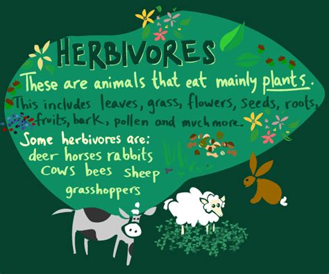 Herbivore Dictionary Definition