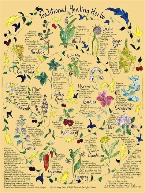 Herbology Names