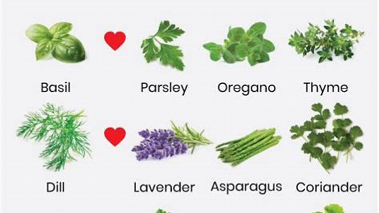 Unlock the Secrets of Companion Planting: Discover the Ultimate "Herbs to Plant Together" Chart