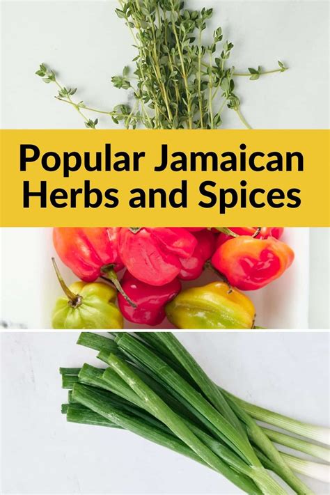 herbs and spices in jamaica