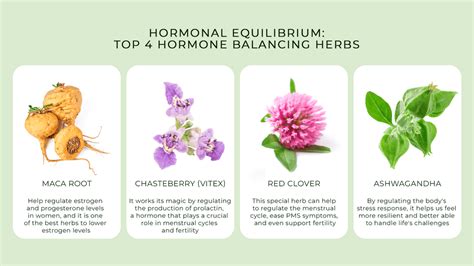 Herbs For Equilibrium