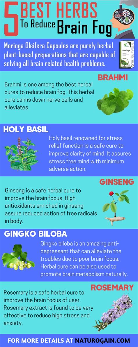 Herbs For Memory Recall