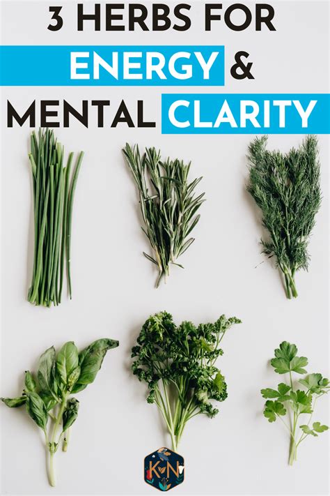 herbs for mental clarity and energy