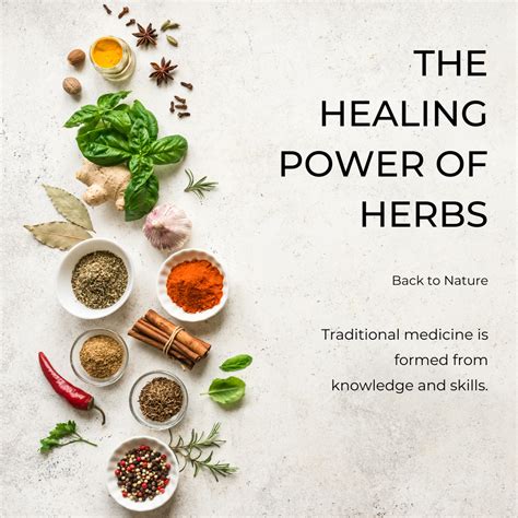 Herbs For Power