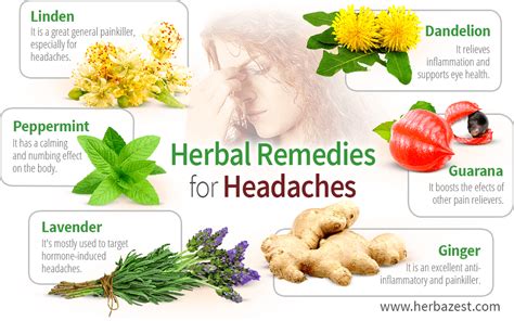 Herbs For Severe Headache