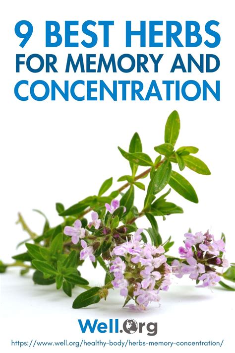 Herbs For Weak Memory