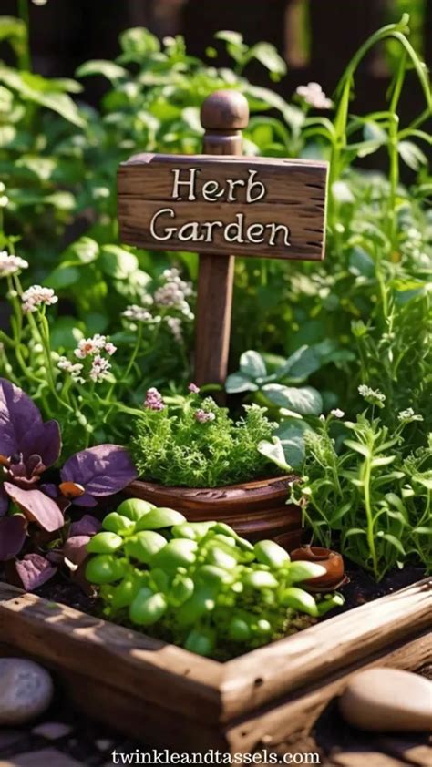 Herbs Garden Corner
