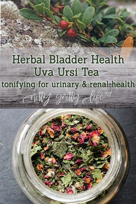 Herbs Good For Urinary Bladder