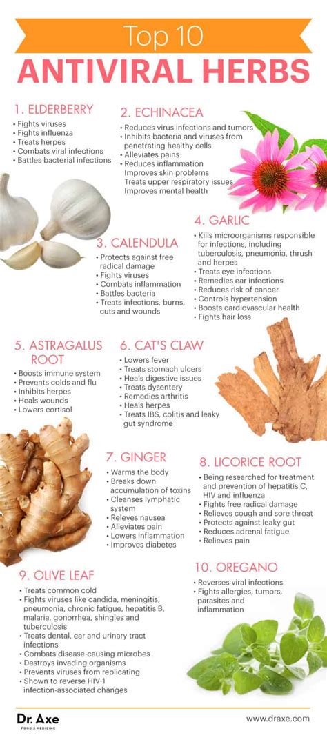 Herbs Good For Virus
