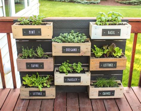 Herbs Planter Box Ideas