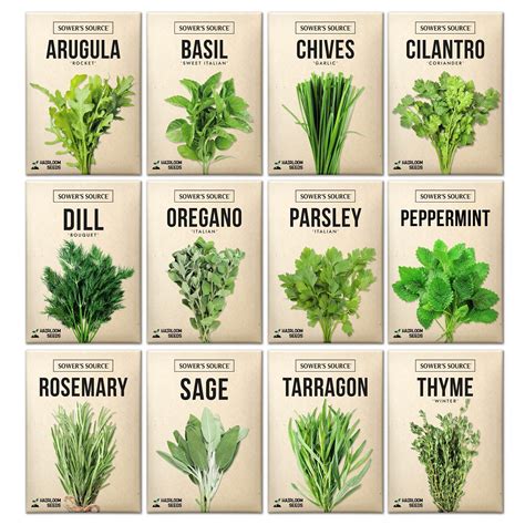 Herbs Seeds List