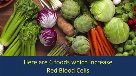 elyricsy.biz:herbs to increase red blood cells