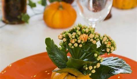 15 stimmungsvolle Herbst Tischdeko Ideen zum selber machen