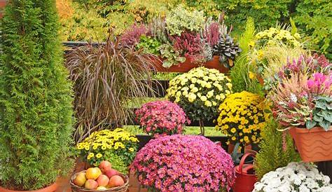 Herbstdeko für den Garten 🍂 | Herbstdeko für draussen, Garten deko, Garten
