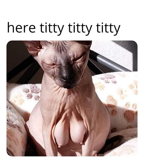 here titty titty 4