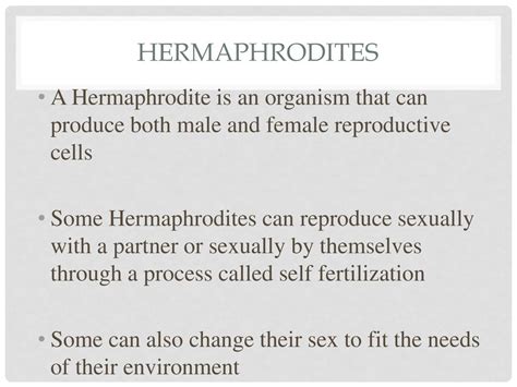 hermaphrodites
