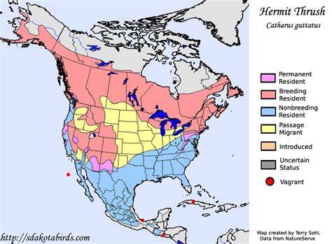 Hermit Thrush Range Map