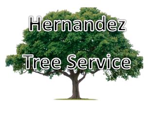 hernandez tree service