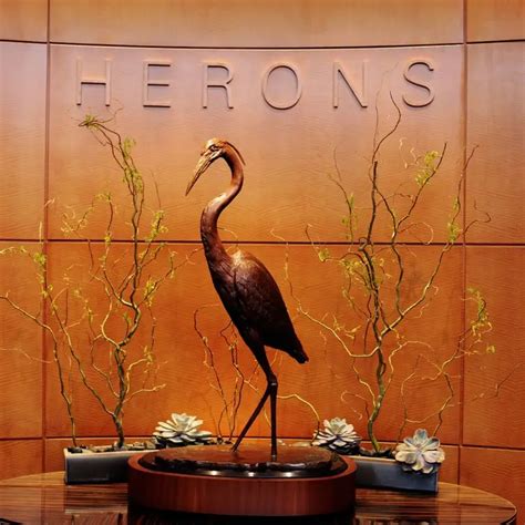 Discover the Majestic feathered wonders at Herons Cary: A Birding Must-See