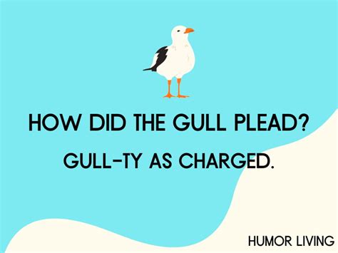 Herring Gull Jokes