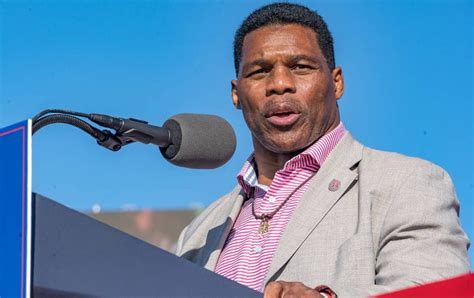 herschel walker senate