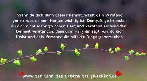 About Herz Oder Verstand In Der Liebe
