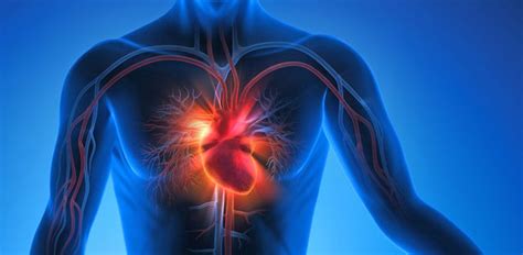 Herzinfarkt Symptome, Diagnostik, Therapie Gelbe Liste