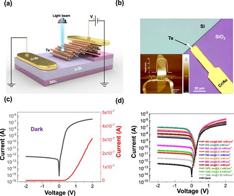 Heterojunction Photodetector