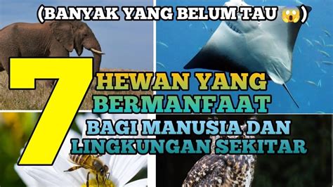 hewan yang bermanfaat