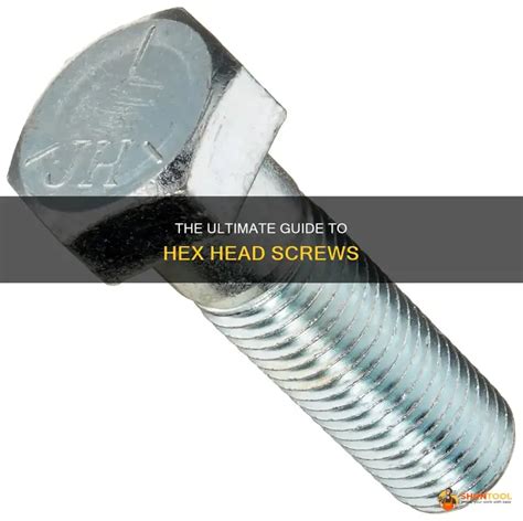 Hex Head Screw Definition