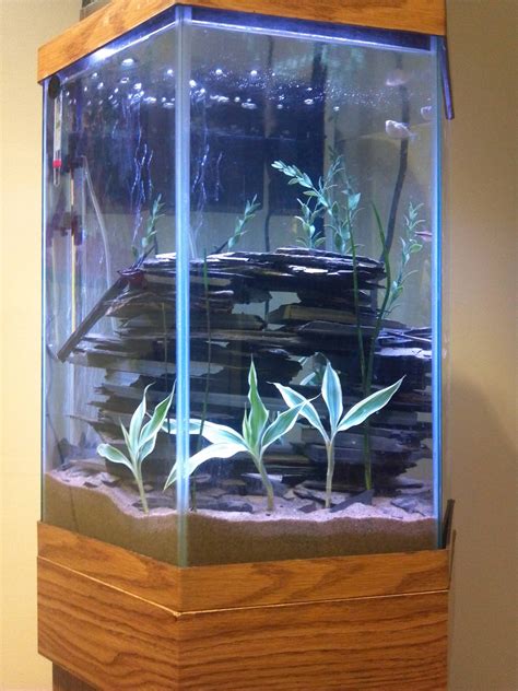 Hexagon fish tank