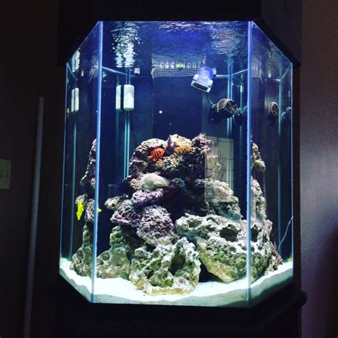 Hexagon Fish Tank Monitoring