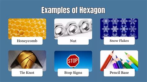 What Are Some RealLife Examples of Hexagons?