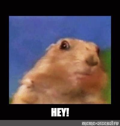 Hey Meme