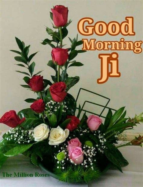 hi good morning ji