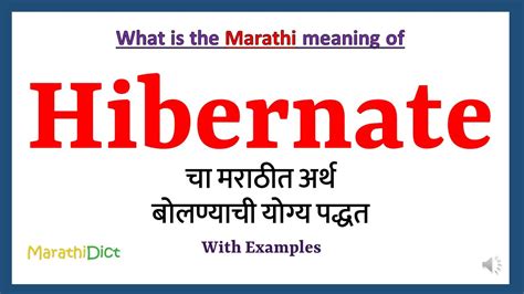 hibernating meaning in marathi