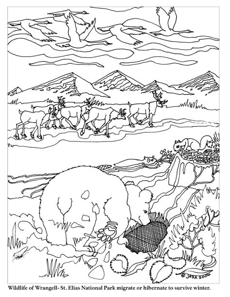 hibernation and migration coloring pages
