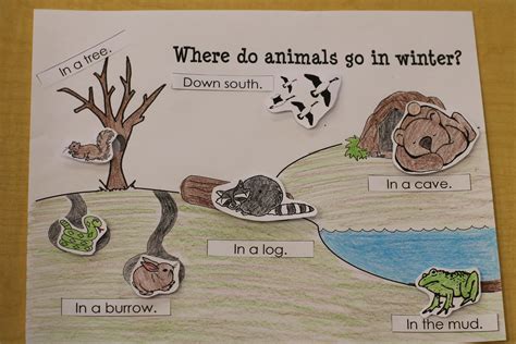 hibernation animals for preschool