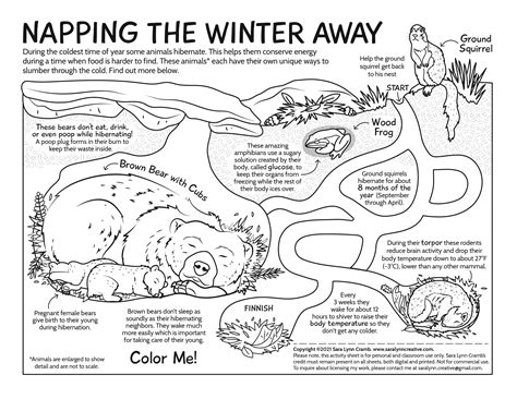 hibernation coloring pages for kids