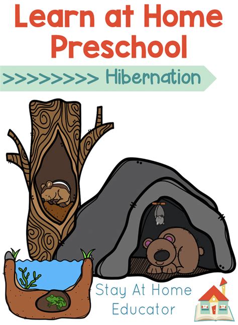 hibernation lesson plan for preschool