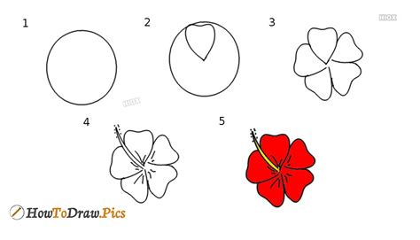 How To Draw A Hibiscus Flower Easy Step By Step