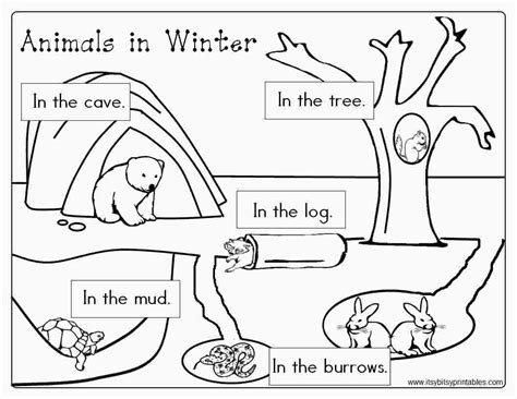 Hibrating Animals Coloring Page