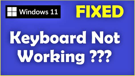 hid keyboard device not working windows 11