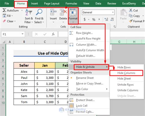 Hide Cells in Excel