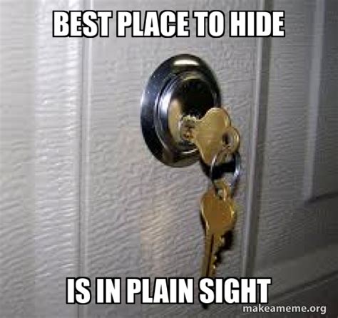 Hiding In Plain Sight Meme