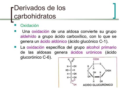 Lamina de Hidratos de Carbono Carbohidratos Glucosa