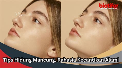 Hidung Mancung