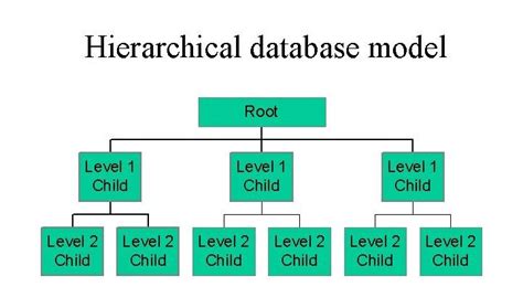 hierarchical database arranges data in like structure