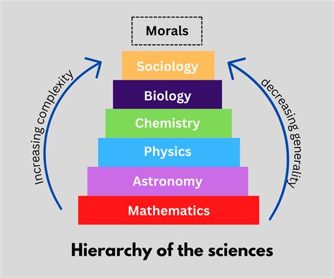 hierarchical definition in science